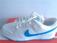 Nike Dunk Low Retro men's trainers shoes DV0831 108 uk 10 eu 45 us 11 NEW+BOX