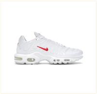 Supreme x Nike Air Max Plus White
