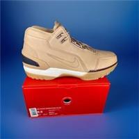 Nike Air Zoom Generation QS LeBron James, 308214-200, UK 8.5, EU 43, US 9.5