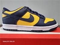 Junior Nike Dunk Low (GS) Trainers CW1590-700 UK sz's 4.5,5 & 5.5