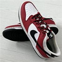 Nike Dunk Low Trainers (GS) Boys Premium Quality Sneaker 304874-105