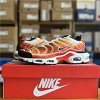 UK 9 - Air Max Plus - Light Photography
