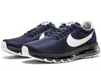 Nike Air Max LD-Zero Hiroshi Fujiwara Men's - 848624-410