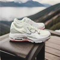 NIKE AIR MAX EXCEE WOMEN ORIGINAL SHOE WHITE COLOUR SIZE6.5 WITH ORIGINAL BOX