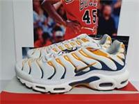 Nike Air Max Plus TN Hiking Carabiner White Marina UK 12 EUR 47.5 (DV3507 100)