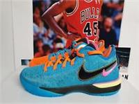 Nike Zoom LeBron NXXT Gen I Promise Mens UK 7 EUR 41 (DR8784 900)