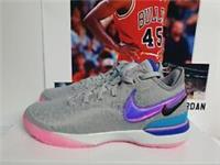Nike Zoom LeBron NXXT Gen Wolf Grey Mens UK 8 EUR 42.5 (DR8784 002)