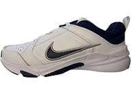 Nike Defy All Day Men's Training Shoes UK 7.5 US 8.5 EU 42 REF 4240+