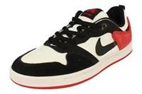 Nike Sb Alleyoop Mens Trainers Cj0882 Sneakers Shoes 102