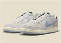 Nike Terminator Low Libert 'Phantom/Wolf Grey'