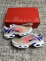 Size 7.5 - Nike Air Max Plus TN Platinum Tint Gradient DZ3670-003