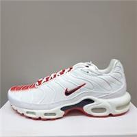 NIKE AIR MAX PLUS TN TUNED "GRADIENT" VARIOUS SIZES (FN3410 100)