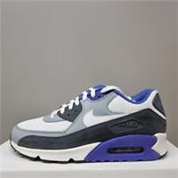 NIKE AIR MAX 90 ESSENTIAL "PERSIAN VIOLET" (2014) TRAINERS (537384 122)