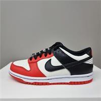 NIKE DUNK LOW EMB NBA 75TH ANNIVERSARY CHICAGO (GS) (DO6288 100)