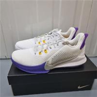 Nike Mamba Fury Kobe 'Lakers Home' Trainers (CK2087 101)