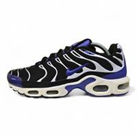Nike Air Max Plus TN Tuned "Persian Violet" Trainers (647315 051) (2015)