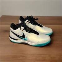 Nike ZM LEBRON NXXT GEN AMPD X Liverpool FC Size Uk 15 Eur 50.5 BNiB FJ1566 101
