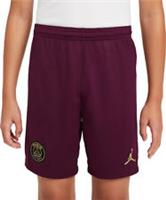 Nike Youth Shorts Unisex Paris Jordan Football Soccer Purple CK7888-612