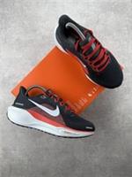 Nike Air Zoom Pegasus 41 Wide | Smoke Grey/Black | FN4932-005 | FAST SHIPPING ✅