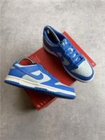 Nike Dunk Low (GS) | Light Silver/Light Blue | FB9109-004 | FAST SHIPPING ✅