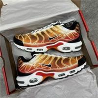 Nike Air Max Plus Light Photography Black UK8 EU42.5 US9 (DZ3531-600) Brand New