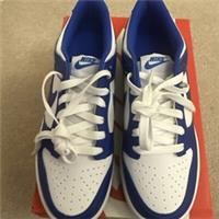 Nike Dunk Low Racer Blue Womens Girls UK 5 New In Box