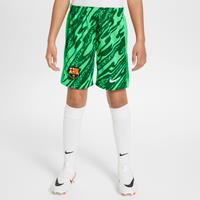 F.C. Barcelona 2024/25 Stadium Goalkeeper Older Kids' Nike Dri-FIT Football Replica Shorts - Green - Polyester