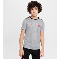 Chelsea F.C. Academy Pro Third Older Kids' Nike Dri-FIT Football Pre-Match Top - Grey - Polyester