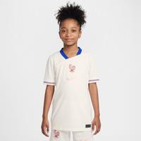 FFF 2025 Stadium Away (Women's Team) Big Kids' Nike Dri-FIT Soccer Replica Jersey - Brown - Polyester