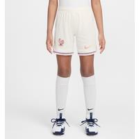 FFF 2025/26 Stadium Away Older Kids' Nike Dri-FIT Football Replica Shorts - Brown - Polyester