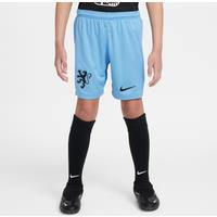 Netherlands 2025/26 Stadium Away Older Kids' Nike Dri-FIT Football Replica Shorts - Blue - Polyester