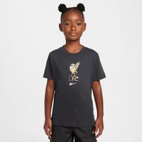 Liverpool F.C. Older Kids' Nike Football T-Shirt - Grey - Cotton
