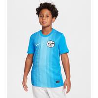 Australia 2025/26 Stadium Goalkeeper Older Kids' Nike Dri-FIT Football Replica Short-Sleeve Shirt - Blue - Polyester