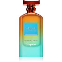 Anfar Midnight Frost Tangerine perfume extract unisex 100 ml