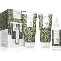 Australian Bodycare 3 Hair Loss Products gift set against hair loss