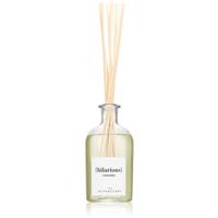 The Olphactory The Olphactory Cannabis aroma diffuser Hilarious 250 ml