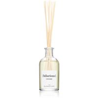 The Olphactory The Olphactory Cannabis aroma diffuser 100 ml