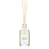 Ambientair The Olphactory Citrus & Shades aroma diffuser Forever 100 ml