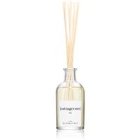 Ambientair The Olphactory Fig aroma diffuser Cottagecore 100 ml