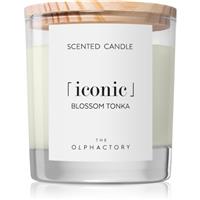The Olphactory Iconic Blossom Tonka scented candle 200 g