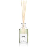 The Olphactory Iconic Blossom Tonka aroma diffuser 100 ml