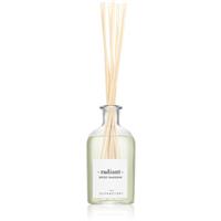 Ambientair The Olphactory Spiced Tangerine aroma diffuser radiant 250 ml