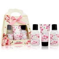 Accentra Essential Botanicals Gift Set gift set for the body 3 pc
