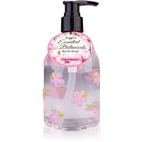 Accentra Essential Botanicals Hand Soap liquid hand soap with pump 300 ml