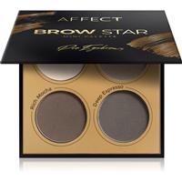 Affect Brow Star eyebrow powder palette 4x2 g