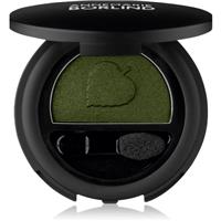 ANNEMARIE BRLIND DEKORATIVE long-lasting eyeshadow with applicator shade Dark Green 2 g