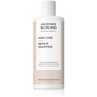 ANNEMARIE BRLIND REPAIR restoring shampoo for damaged hair 250 ml