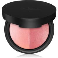 Aden Cosmetics Terracotta Baked Blusher Duo powder blusher shade 01 7 g