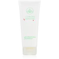 Annayake CleanSkin Gentle Cleansing Gel facial cleansing gel for perfect skin cleansing 100 ml