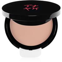 Annayake Silky Compact Foundation compact foundation to brighten and smooth the skin shade 20 medium ros 9 g